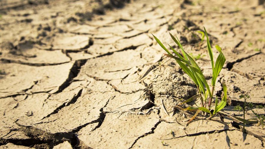 Liban: un pays riche en eau… mais confronté à la pénurie