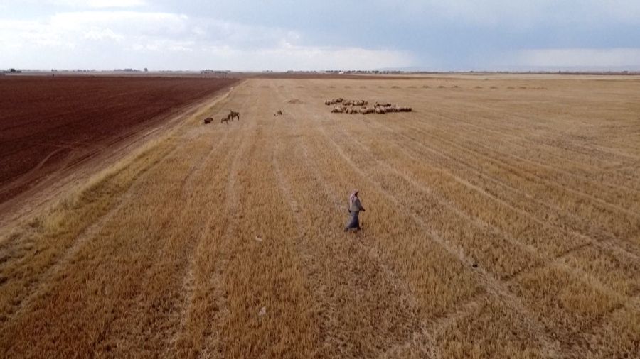 La crise climatique frappe la Syrie: 16,3 millions de personnes menacées par l'insécurité alimentaire