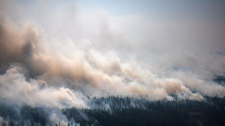 La Sibérie ravagée par des incendies, cinq morts