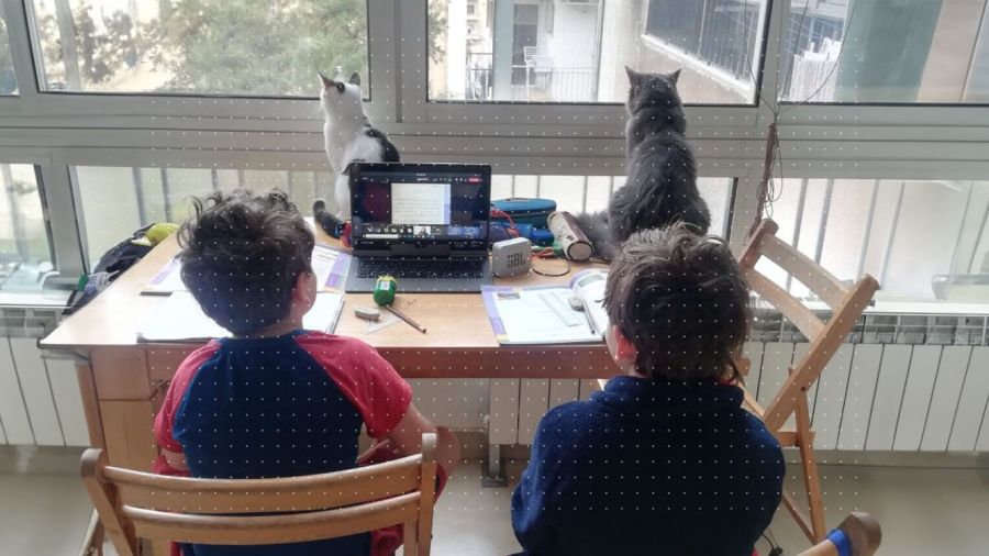 Envoyer ou garder? Le lourd choix des parents libanais