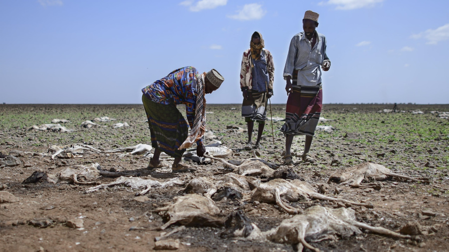 Climat: la trilogie scientifique qui met en garde l'humanité