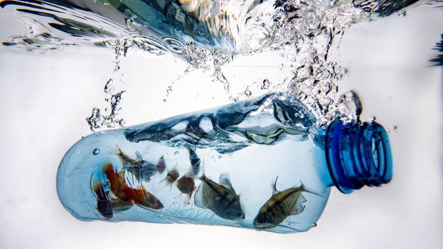 Inventions: le concours Lépine récompense un aspirateur sous-marin de déchets et microplastiques