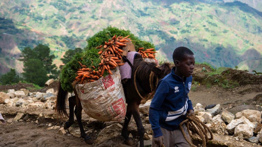 Union Africaine: Le conflit au Moyen-Orient «un risque grave» pour l'Afrique