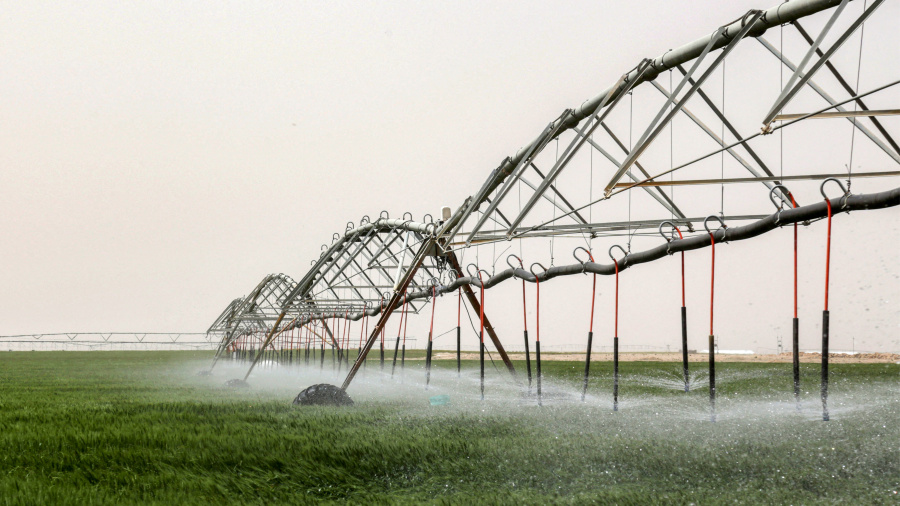 Pour planter son blé, l'Irak puise dans les nappes phréatiques