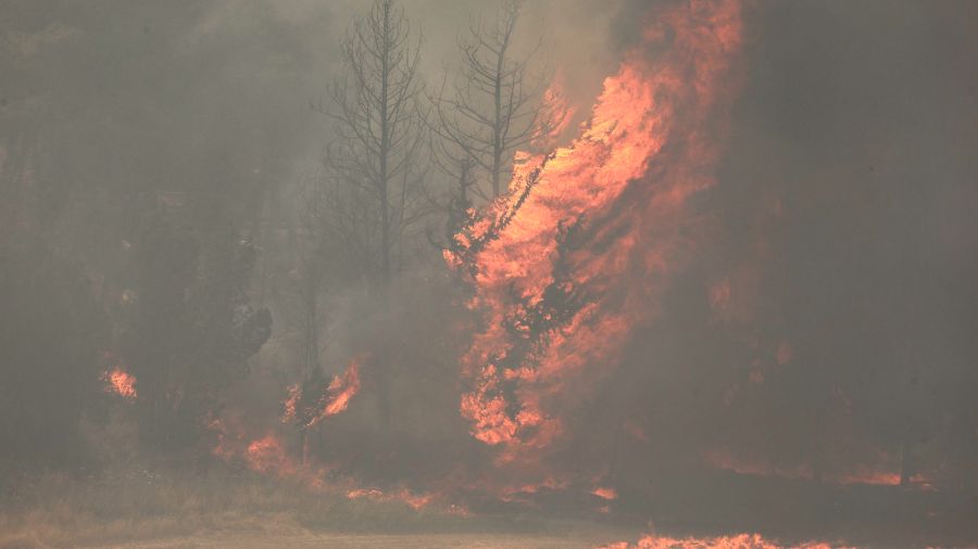 Incendies dévastateurs dans la région de Jérusalem, l'armée mobilisée