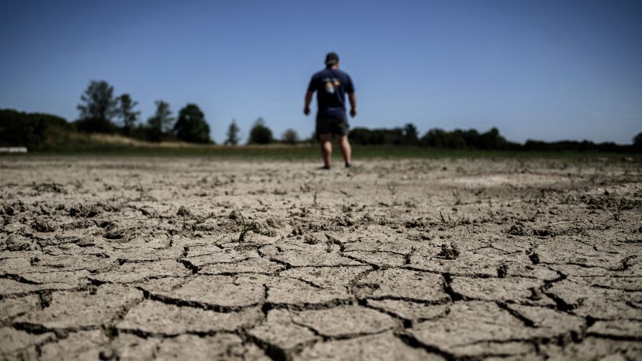 Canicule: les organismes mis à l'épreuve, des précautions à prendre