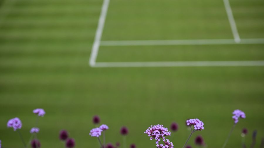 Wimbledon: l'invincible Alcaraz en quête du triplé, Djokovic rêve d'éternité
