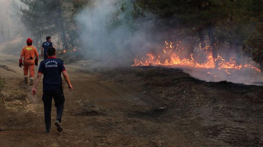 Incendies en Turquie: plus de 50.000 personnes évacuées