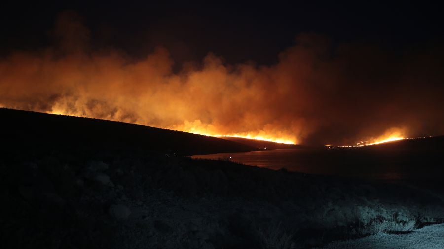 Turquie: l'un des feux près d'Izmir maîtrisé, mais la forêt brûle encore