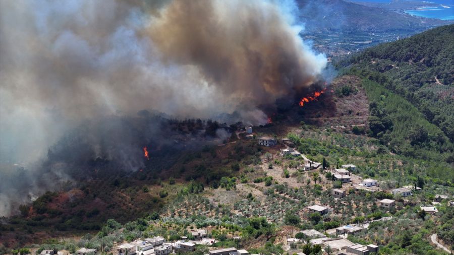 Syrie : Lattaquié en proie aux flammes pour le 4e jour, 10 000 hectares de forêts détruits