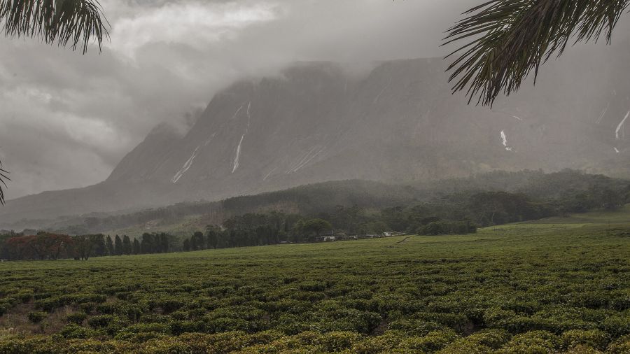 L'Afrique, priorité de l'Unesco encore sous-représentée au Patrimoine mondial