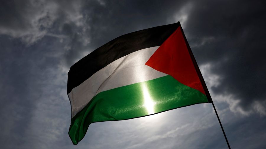 Les Nations unies et la question palestinienne
