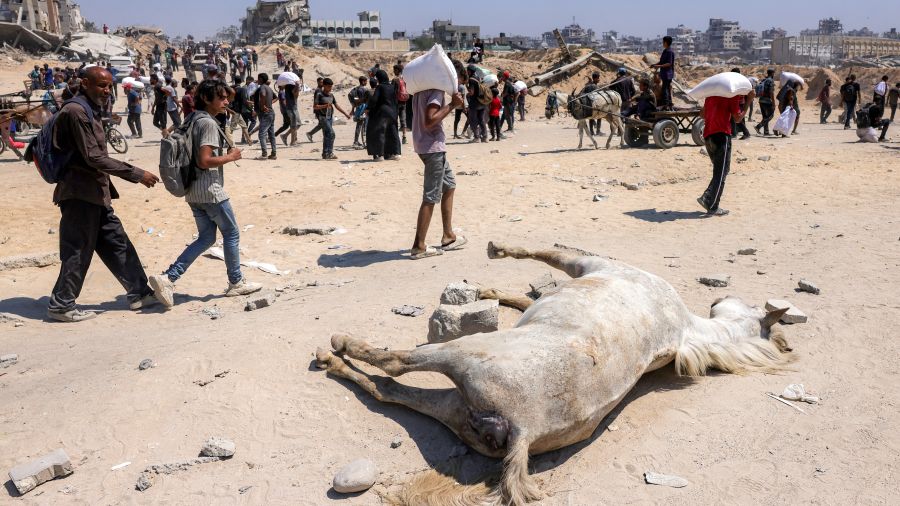 Trump annonce la mise en place de centres de distribution alimentaire à Gaza
