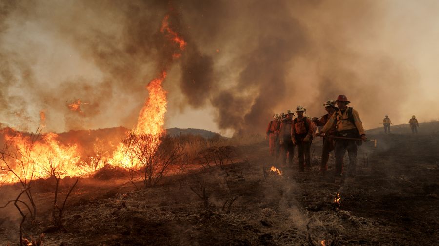 Incendies: plus d'un million d'hectares brûlés dans l'UE depuis début 2025, un record