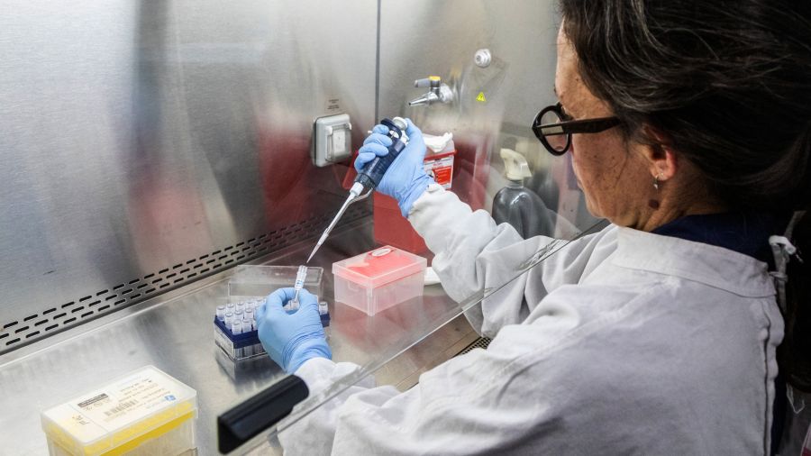 Hantavirus: la totalité des cas contacts, présents en France, testés négatifs, annonce la ministre de la Santé