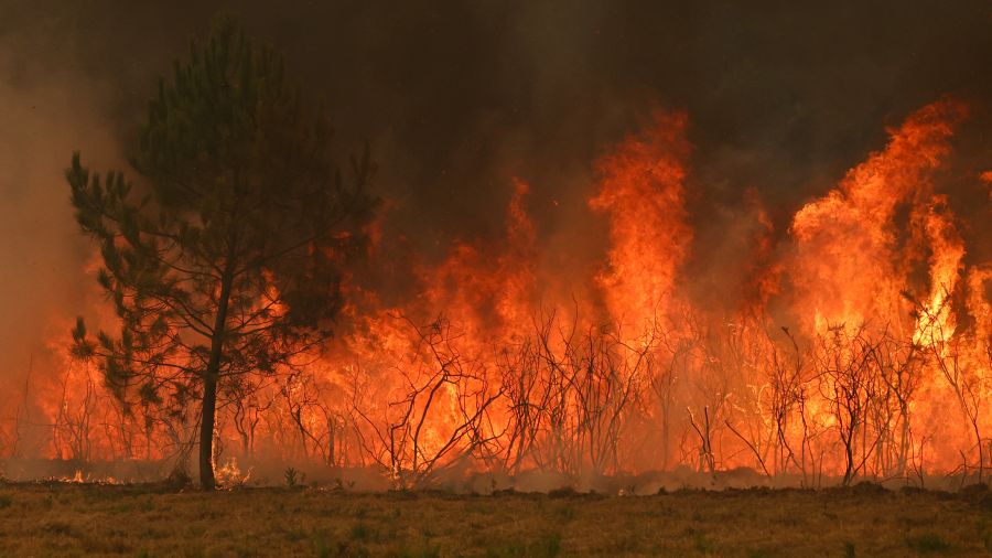D'une «ampleur exceptionnelle», les feux de forêts vont coûter 500 millions d'euros aux assureurs