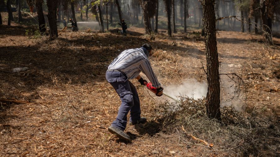 Incendies en Grèce: autorités et habitants évaluent l'ampleur des dégâts près d'Athènes