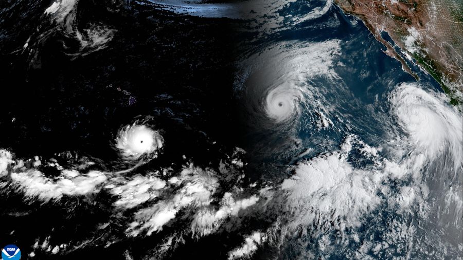 Trois ouragans en même temps dans le Pacifique, phénomène rare favorisé par El Niño