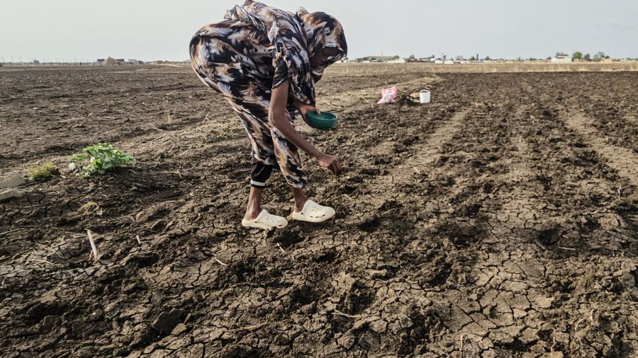 L'ONU prévoit un El Niño «de très forte intensité» ces cinq prochains mois
