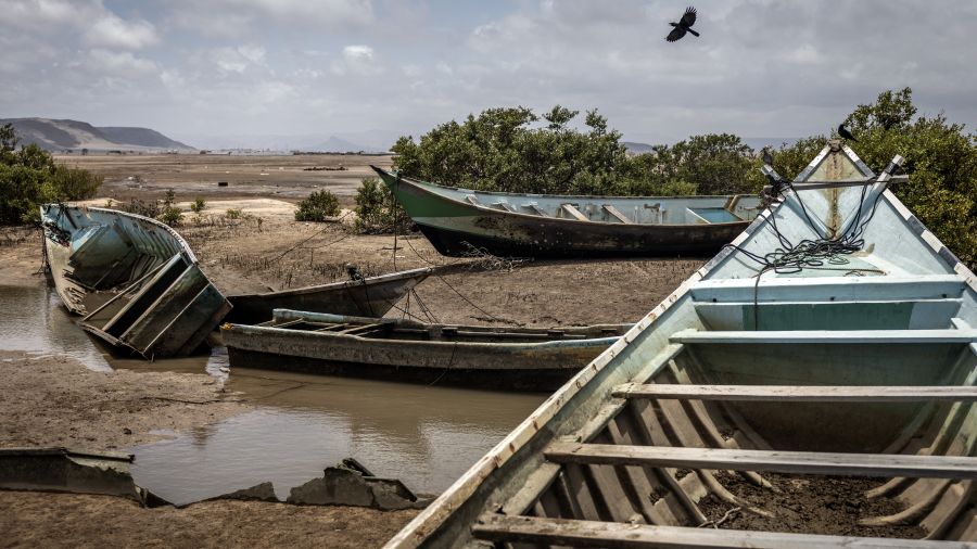 Au moins 109 migrants morts et plus de 116 portés disparus dans un naufrage meurtrier au large de Djibouti
