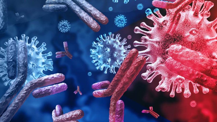 Les anticorps thérapeutiques, une arme contre le cancer