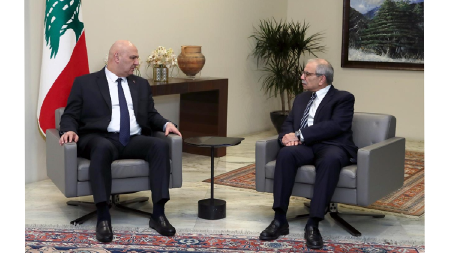 Le nouveau gouvernement formé sous le signe des réformes et de l'application de la résolution 1701