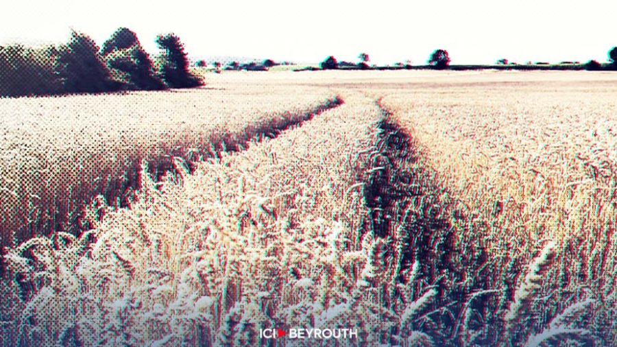 Blé: Arrivée de la première cargaison financée par la BM