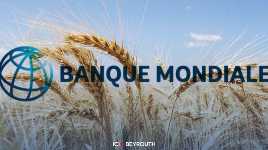 Blé: Prêt de la BM approuvé en commissions parlementaires