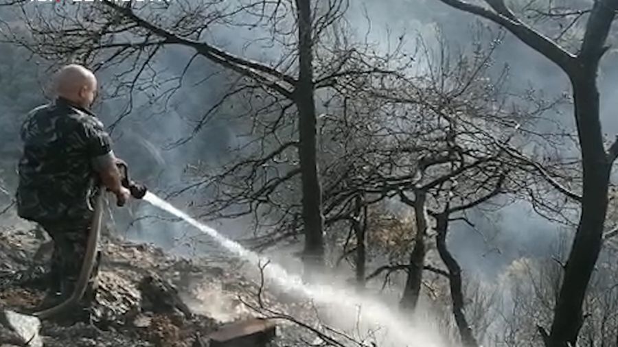 Bchamoun dévastée par les flammes