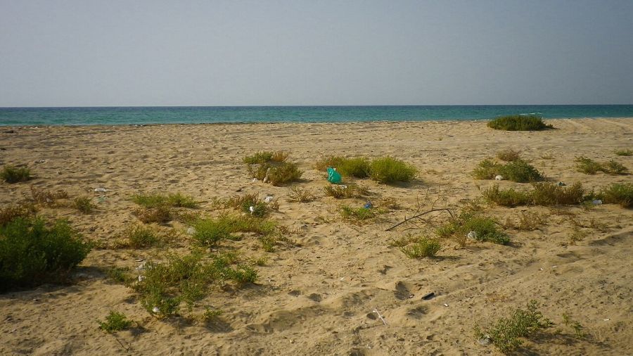 Les Émirats arabes unis signalent un déversement de pétrole sur leurs côtes