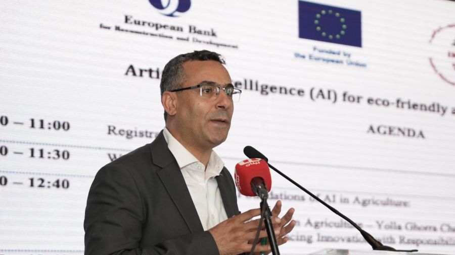 Le vin libanais entre tradition et technologie: l’IA au service de la vigne