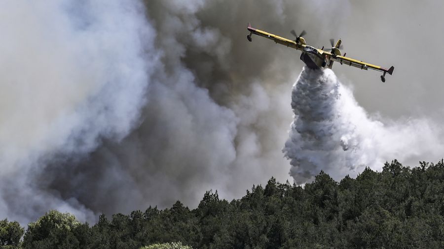 Incendies: un bombardier d'eau s'écrase en Grèce