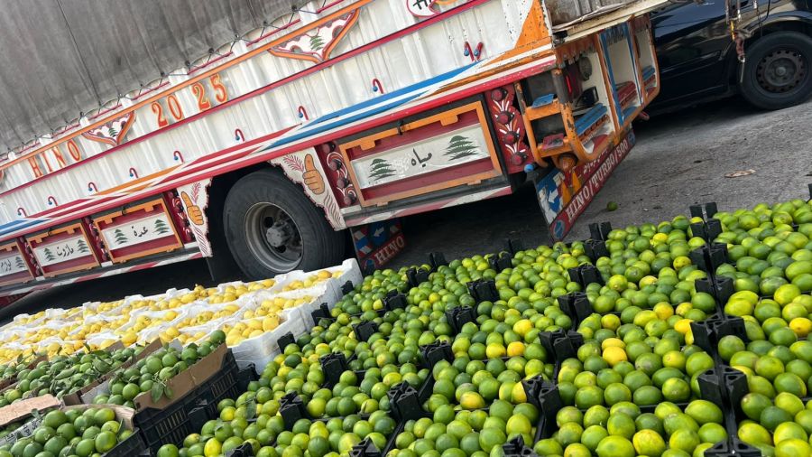 Les douanes interceptent un camion transportant des citrons syriens de contrebande