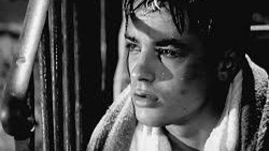 Un an après sa mort, Alain Delon honoré à Douchy le 18 août