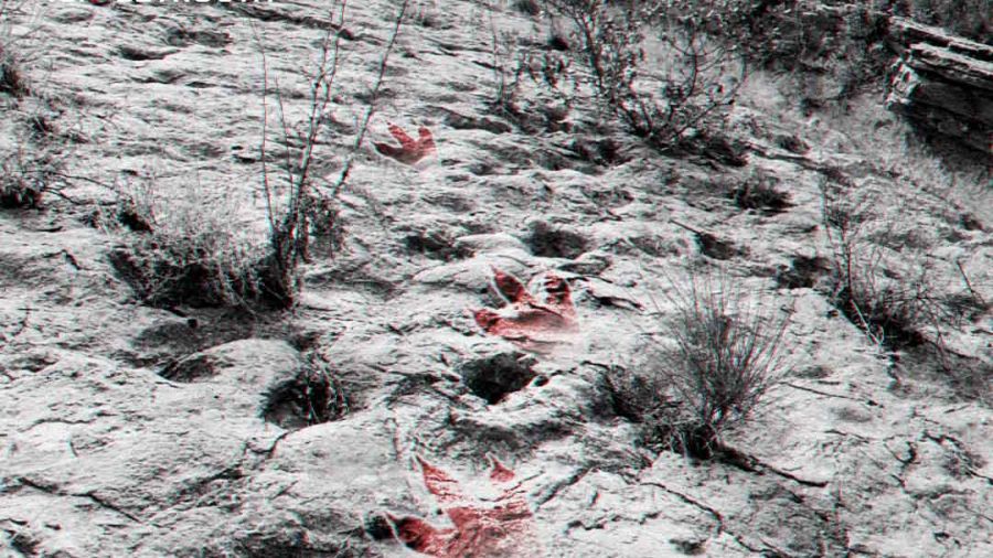 À Ghosta, des vestiges de dinosaures menacés de disparition