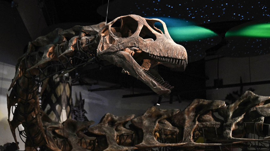 Nagatitan chaiyaphumensis, le titan oublié d’Asie du Sud-Est