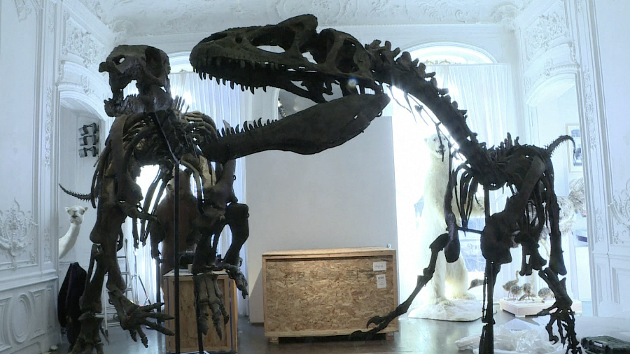 Un squelette géant de dinosaure vendu 6 millions d'euros près de Paris