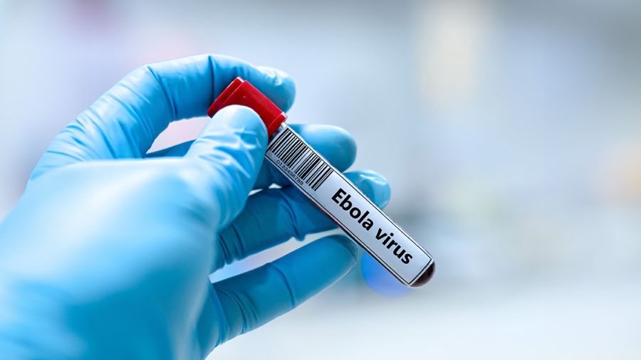 Épidémie d’Ebola: un premier cas identifié en France, premier hors d’Afrique