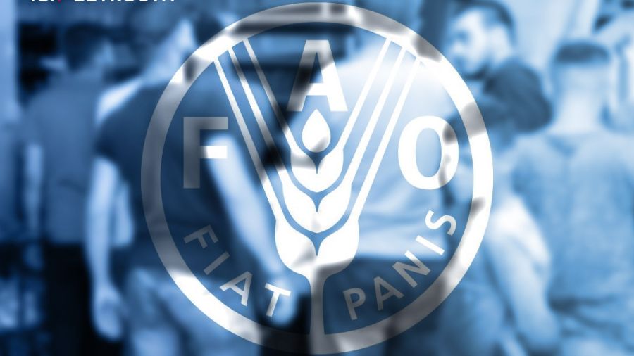 Le Liban menacé de famine, selon deux agences onusiennes