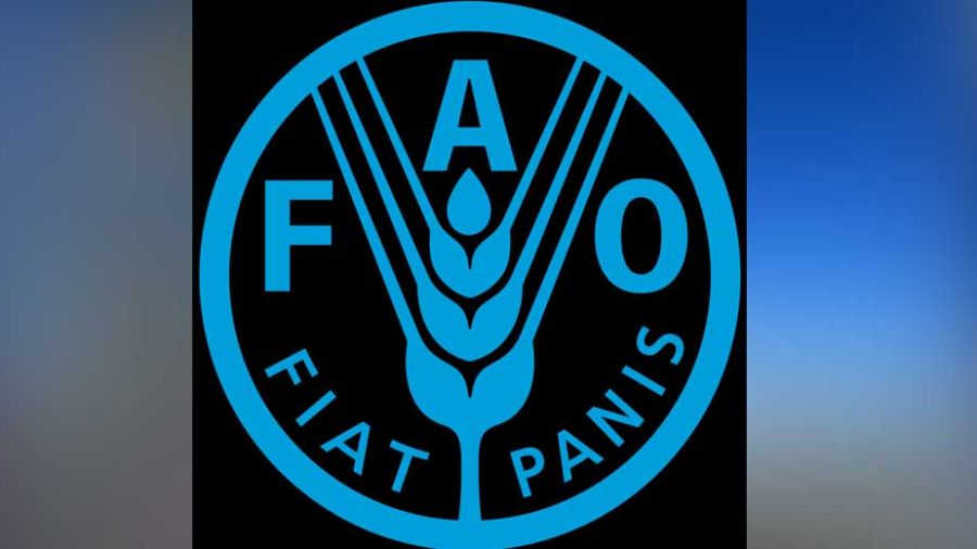 Prix mondiaux record des denrées alimentaires
