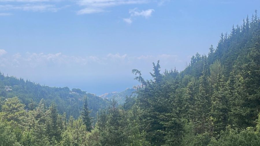 Urgence nationale: protéger les forêts libanaises avant qu'il ne soit trop tard