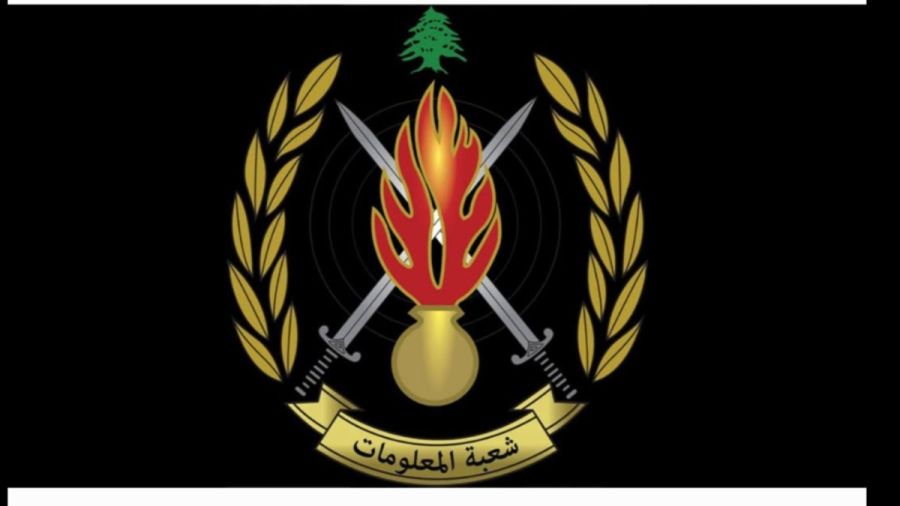 Neuf trafiquants de drogue arrêtés lors de raids au Mont-Liban