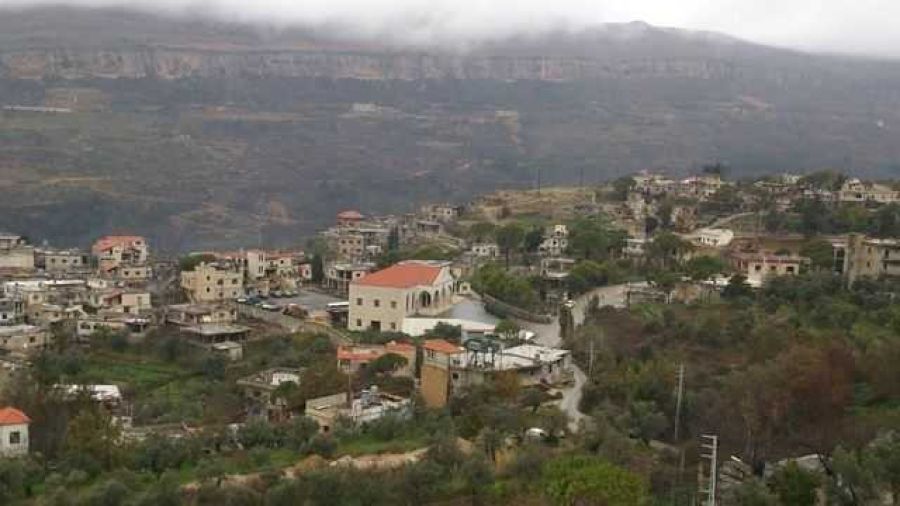 Incendie dans la forêt de Brih au Chouf