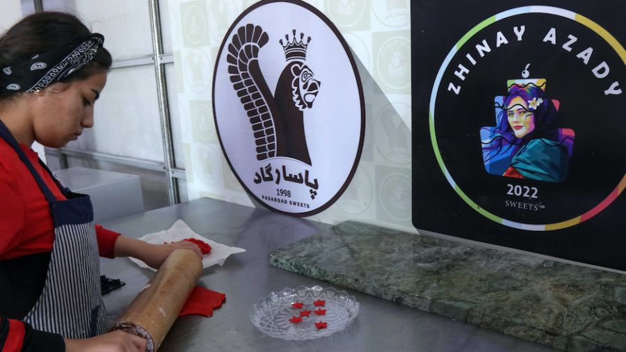 Partir pour ne pas subir: l'exil forcé des kurdes iraniens en Irak