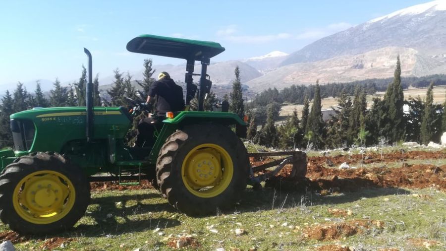  2.000 pins plantés pour restaurer les rives du Litani