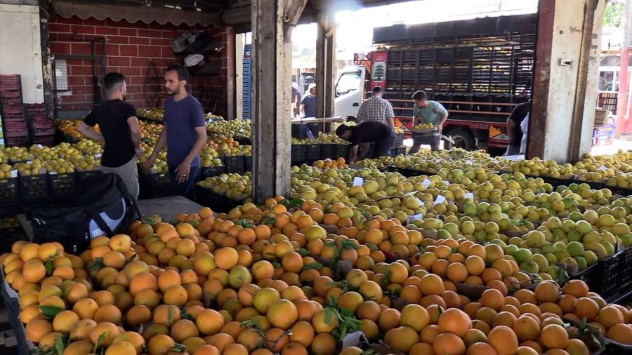 Les fruits libanais retrouvent le Golfe