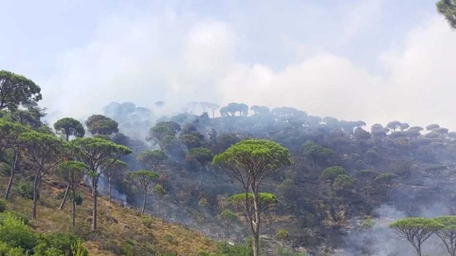 Ras el-Metn: deux incendies ravagent de vastes zones forestières