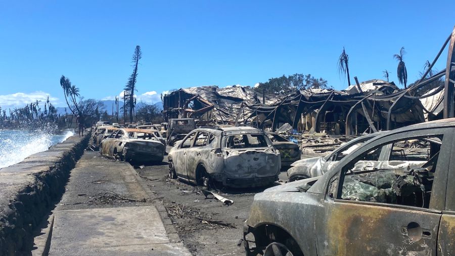 Incendies à Hawaï: après la catastrophe, l'heure des comptes