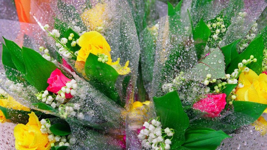 Le muguet du 1er mai, entre rites, luttes et traditions