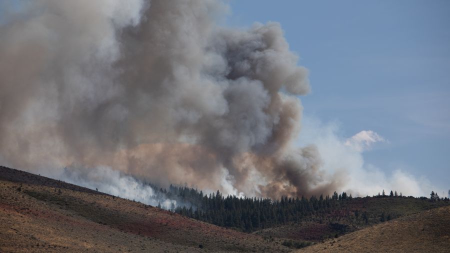 Des dizaines de milliers d'évacuations en cours face à un feu de forêt dans le Nevada